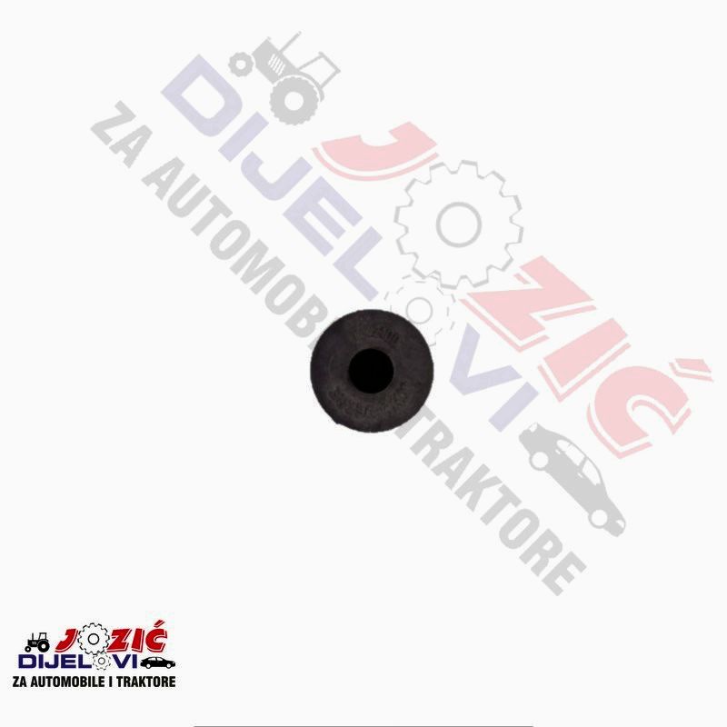 Daisy on the Ohoopee